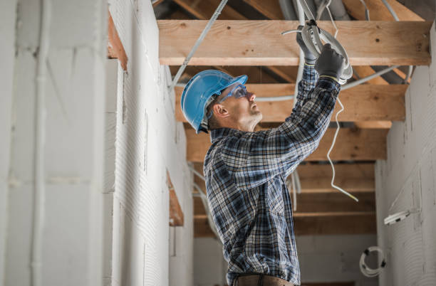 Best Outdoor Lighting Installation  in Stony Point, MI