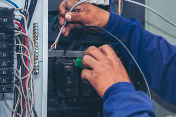 Best 24-Hour Electrician  in Stony Point, MI