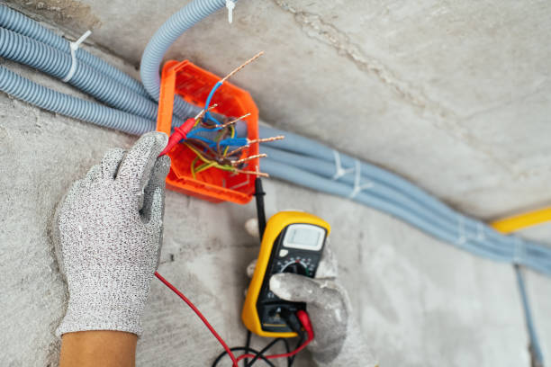 Best Industrial Electrical Services  in Stony Point, MI