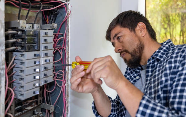 Best Licensed Electrician  in Stony Point, MI
